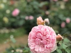 -人民公园(罗湖区)