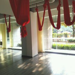 -榕树上·瑜伽普拉提