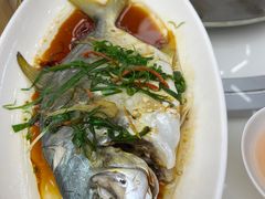 -日日香卤鹅饭店·澄海狮头鹅(澄海店)