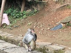 -黔灵山公园