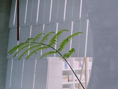 -二酉书店TOYOU BOOKS