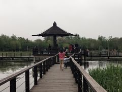 -前关湿地公园