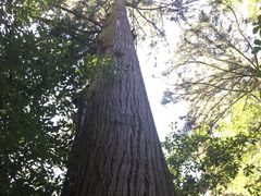 -东天目山风景区