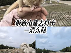 -清东陵