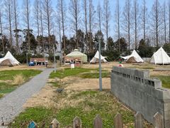 -前小桔亲子创意农场·草莓采摘·露营烧烤