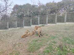 -西安秦岭野生动物园