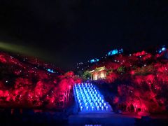 -印象普陀