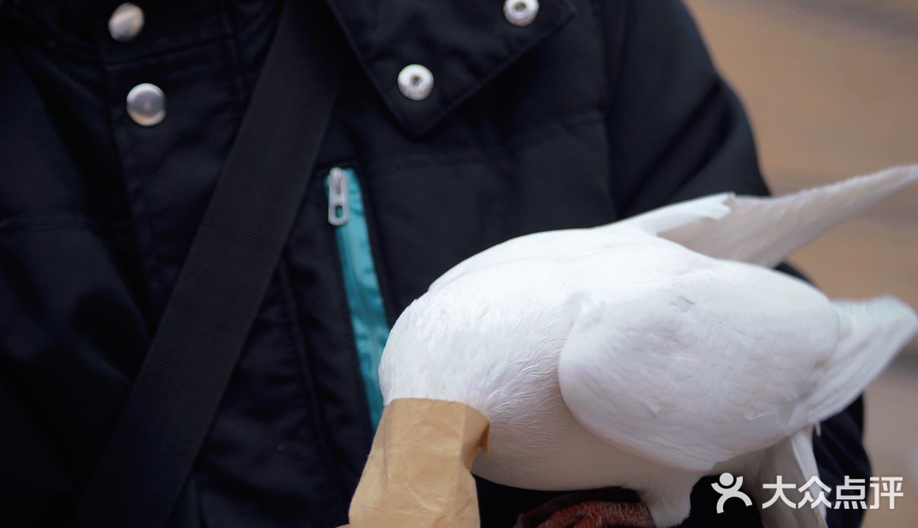 南京出游|“第几次 我们一起上钟山？”