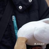 南京出游|“第几次 我们一起上钟山？”