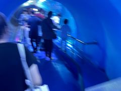 -太平洋海底世界