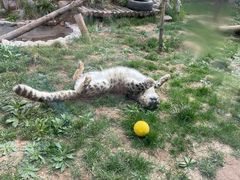 -青藏高原野生动物园