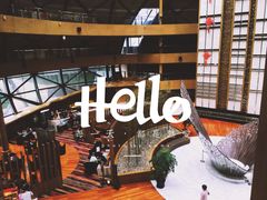 -上海滴水湖皇冠假日酒店