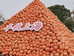 -上海月湖雕塑公园