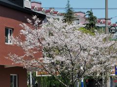 -永乐路-路侧停车场