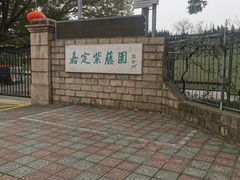-嘉定紫藤园