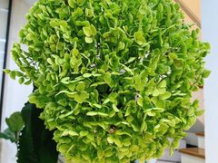 -森野花艺培训·企业团建活动沙龙