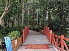 -阳台山森林公园