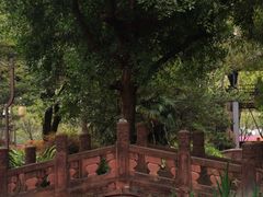 -望江楼公园