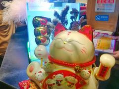 -晓鲜熊猫烤鱼烤吧(西三旗百汇北门店)