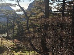 -黄山光明顶山庄
