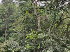 -青岛中山公园-索道售票处