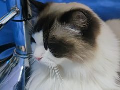 -零纪元VR体验馆·桌游(黄浦店)