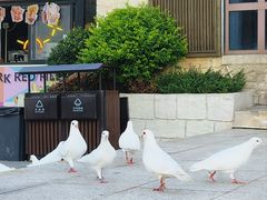 -华谊兄弟（长沙）电影小镇