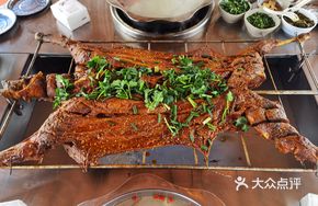 Premium Snow Mountain Lamb