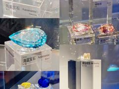 -中国地质博物馆