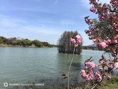 -尚湖风景区