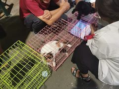 -健康路夜市