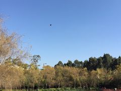 -月牙潭公园
