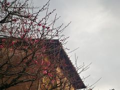 -香老铺松荣堂(产宁坂店)