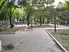 -南长河公园