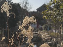 -太白山御龙湾温泉