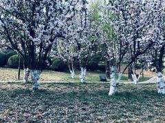 -元大都城垣遗址公园