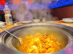 -山河屯铁锅炖鲜鹅·东北菜(开发区一店)