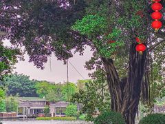 -荔湾湖公园