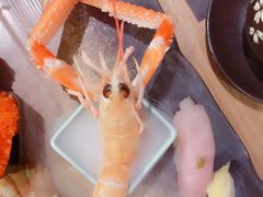 -寿司皇(扬名广场店)