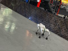 -极限PLAY运动娱乐新世界·团建派对表演休闲馆·室内高空游乐园