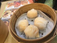 晶莹鲜虾饺-添好运点心专门店(北角店)