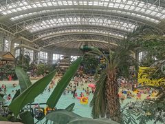 -杭州开元森泊度假乐园