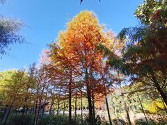 -昆明市金殿名胜区