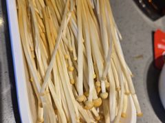 -海底捞火锅(公益西桥店)