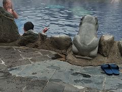 -汤峪温泉碧水湾