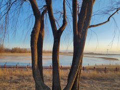 -野鸭湖国家湿地公园