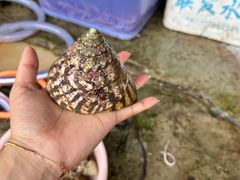 -鸿港海鲜批发市场