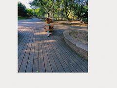 -长白岛森林公园