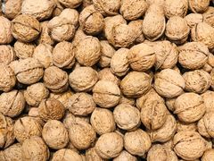 山核桃-隆美栗园(活力城店)