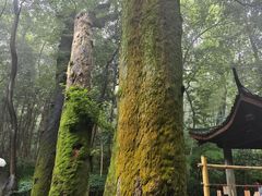 -西湖文化广场